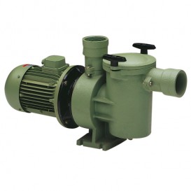 Bomba Aral SP-3000 (hierro fundido)